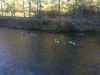 Kayaking the River 2